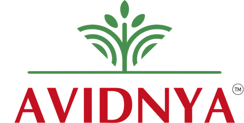 Avidnya