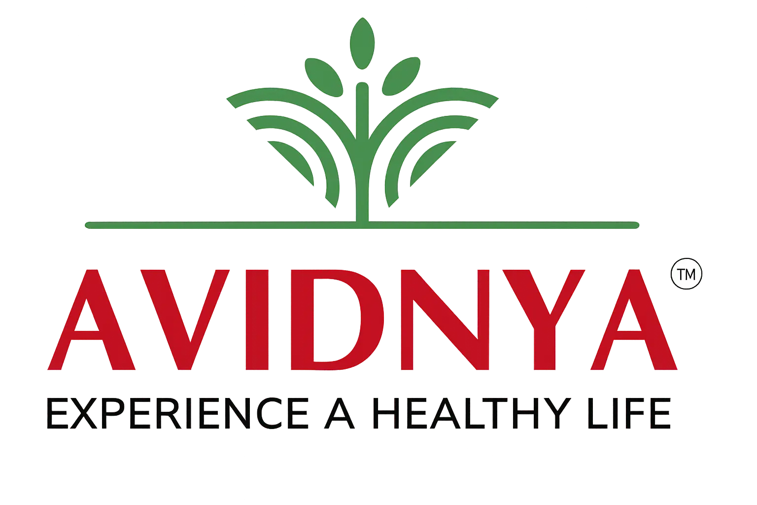 avidnya.com